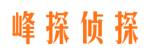 石林峰探私家侦探公司